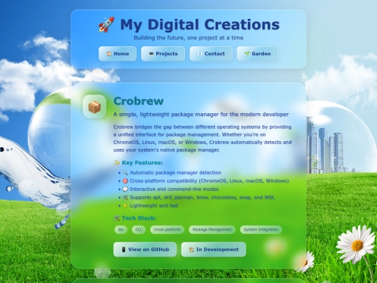 projects screenshot