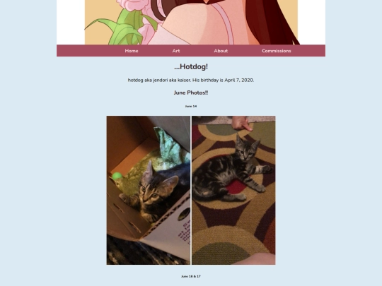 hotdog screenshot