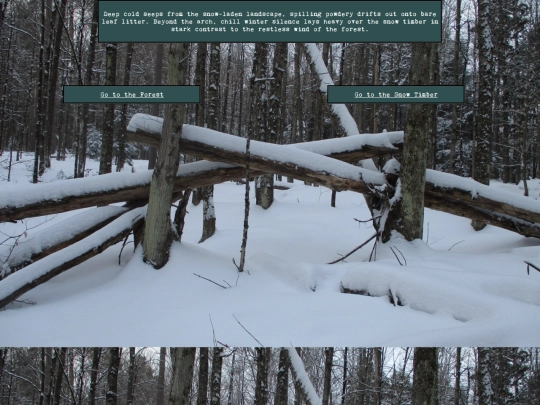 woods/coldarch screenshot