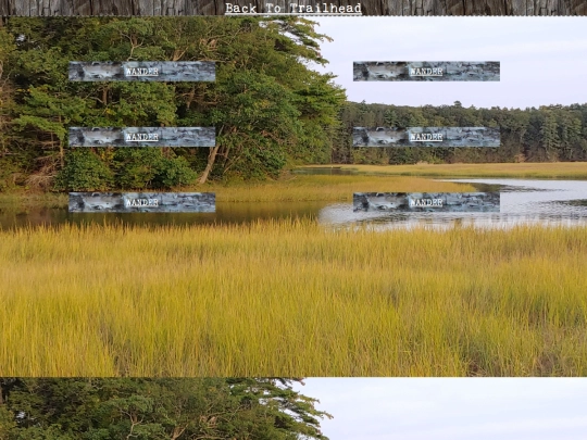 woods/wander108 screenshot