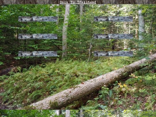 woods/wander153 screenshot