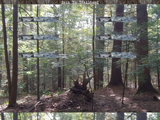 woods/wander162 screenshot