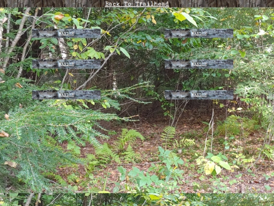 woods/wander180 screenshot
