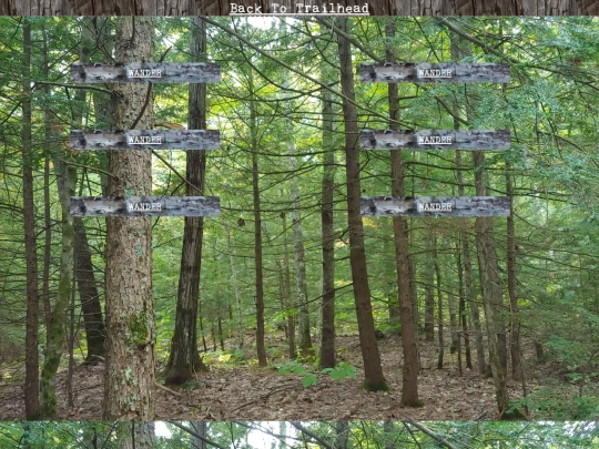 woods/wander207 screenshot