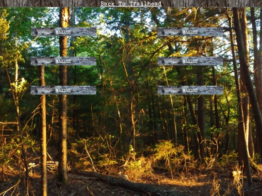 woods/wander27 screenshot