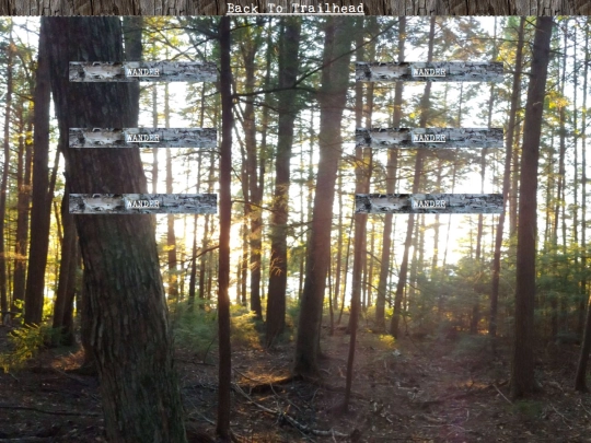 woods/wander36 screenshot