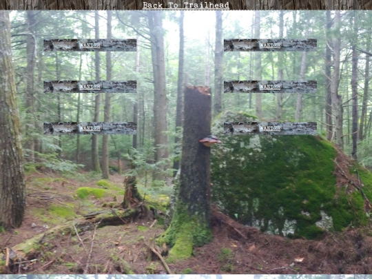 woods/wander63 screenshot
