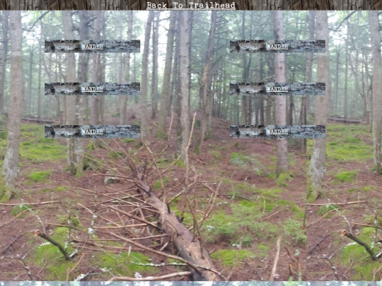 woods/wander72 screenshot