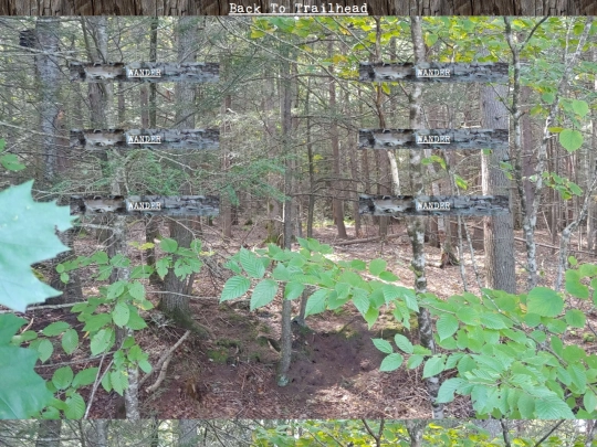 woods/wander99 screenshot