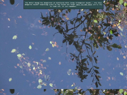woods/waterwander43 screenshot
