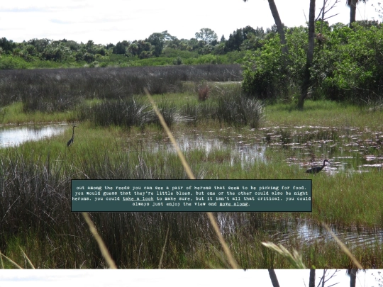 woods/waterwander98 screenshot