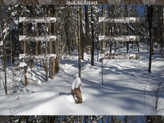 woods/winterwander63 screenshot