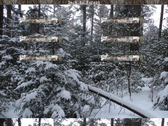 woods/winterwander72 screenshot