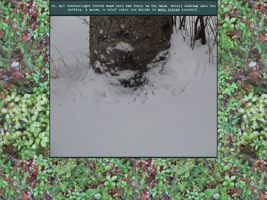 woods/winterwander74 screenshot