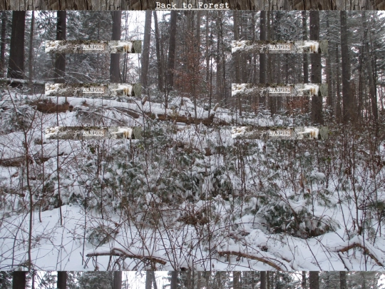 woods/winterwander81 screenshot