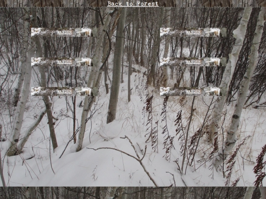 woods/winterwander9 screenshot