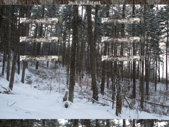 woods/winterwander90 screenshot