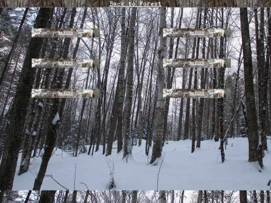 woods/winterwander99 screenshot