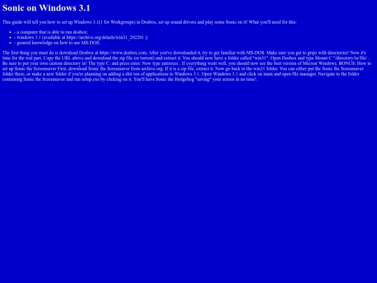 Sonic on windows 3.1 screenshot