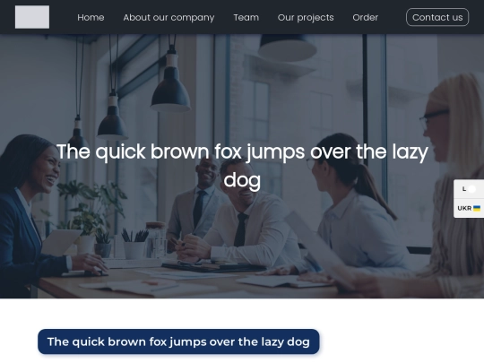 company screenshot
