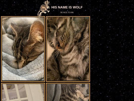 WOLF screenshot