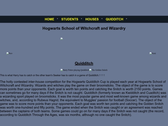 quidditch screenshot