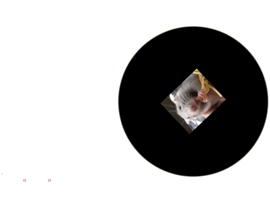 music_test_v002 screenshot