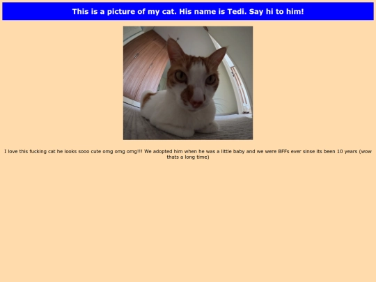 tedi screenshot