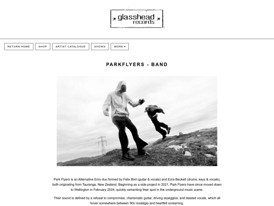 artist's/parkflyers screenshot