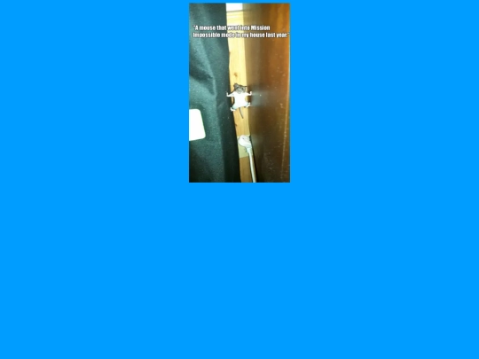 SecRAT screenshot