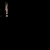 drumatixardcore.neocities.org avatar