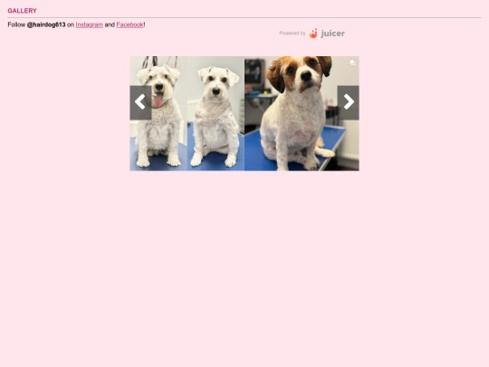 gallery screenshot