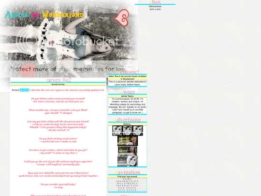 survey2 screenshot