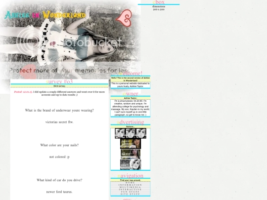 survey3 screenshot