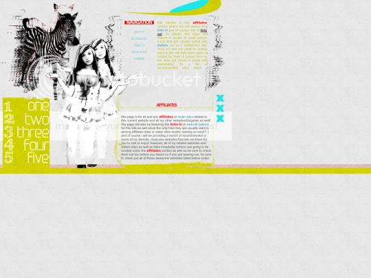 zebraffiliates screenshot