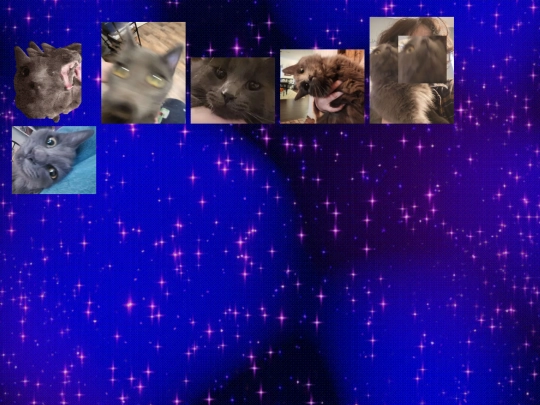sabrina screenshot
