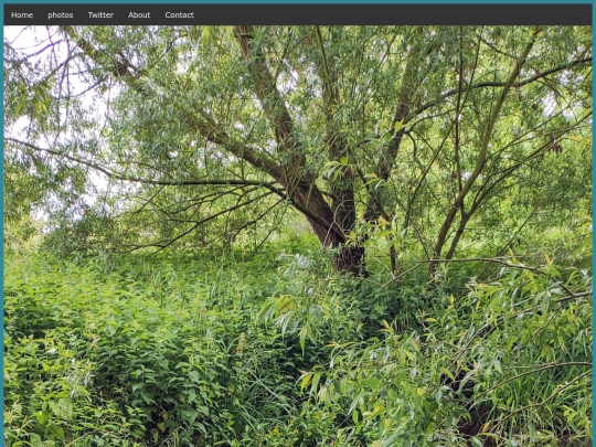 photos screenshot