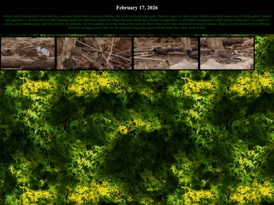naturewalks screenshot