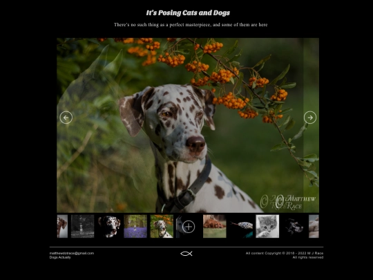 Slideshow/animals screenshot