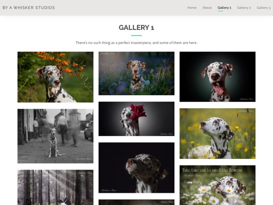 gallery1 screenshot