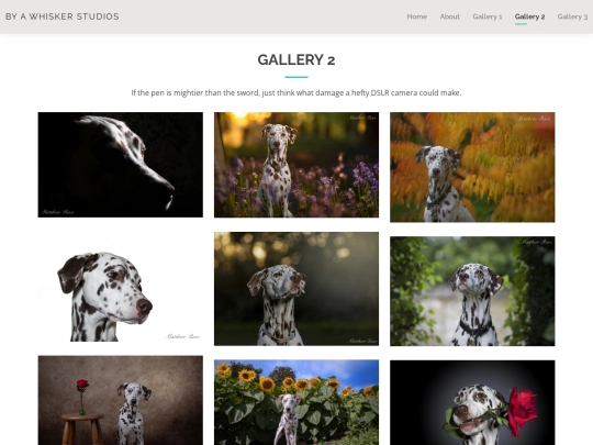 gallery2 screenshot