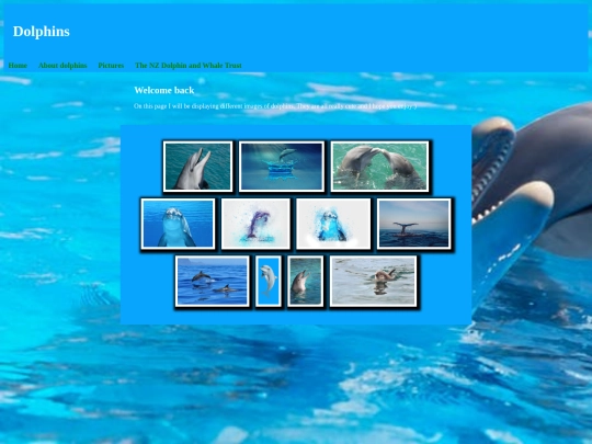videos screenshot