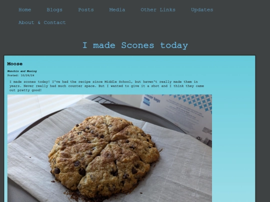 Posts/Made_Scones screenshot