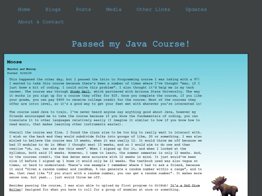 Posts/java_course screenshot