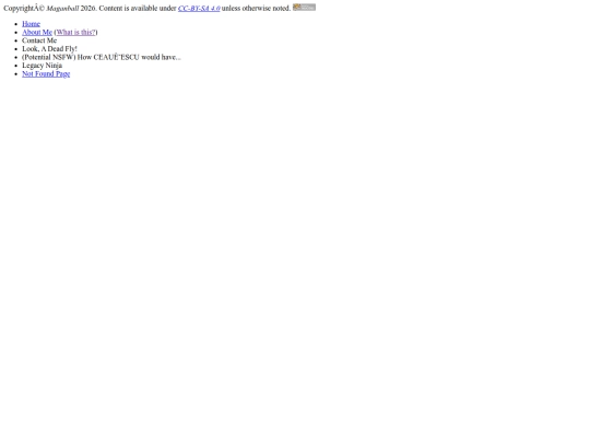 footer screenshot