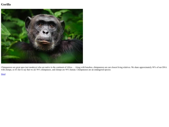 chimpanzee screenshot