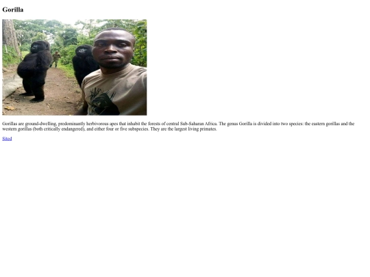 gorilla screenshot