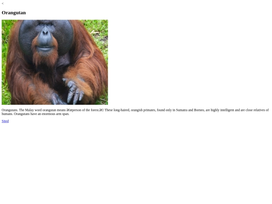 orangutan screenshot
