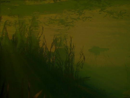 aesth-swamp screenshot