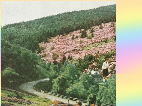 collage screenshot